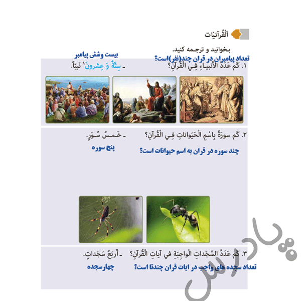 ترجمه قرانیات صفحه 55 عربی هفتم