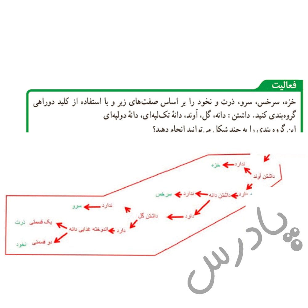 پاسخ فعالیت صفحه 139علوم نهم