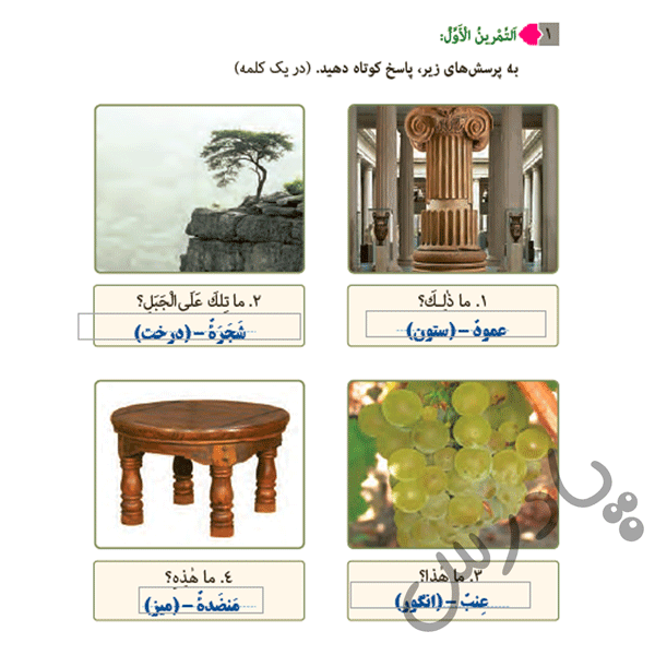 پاسخ  صفحه 44 عربی هفتم