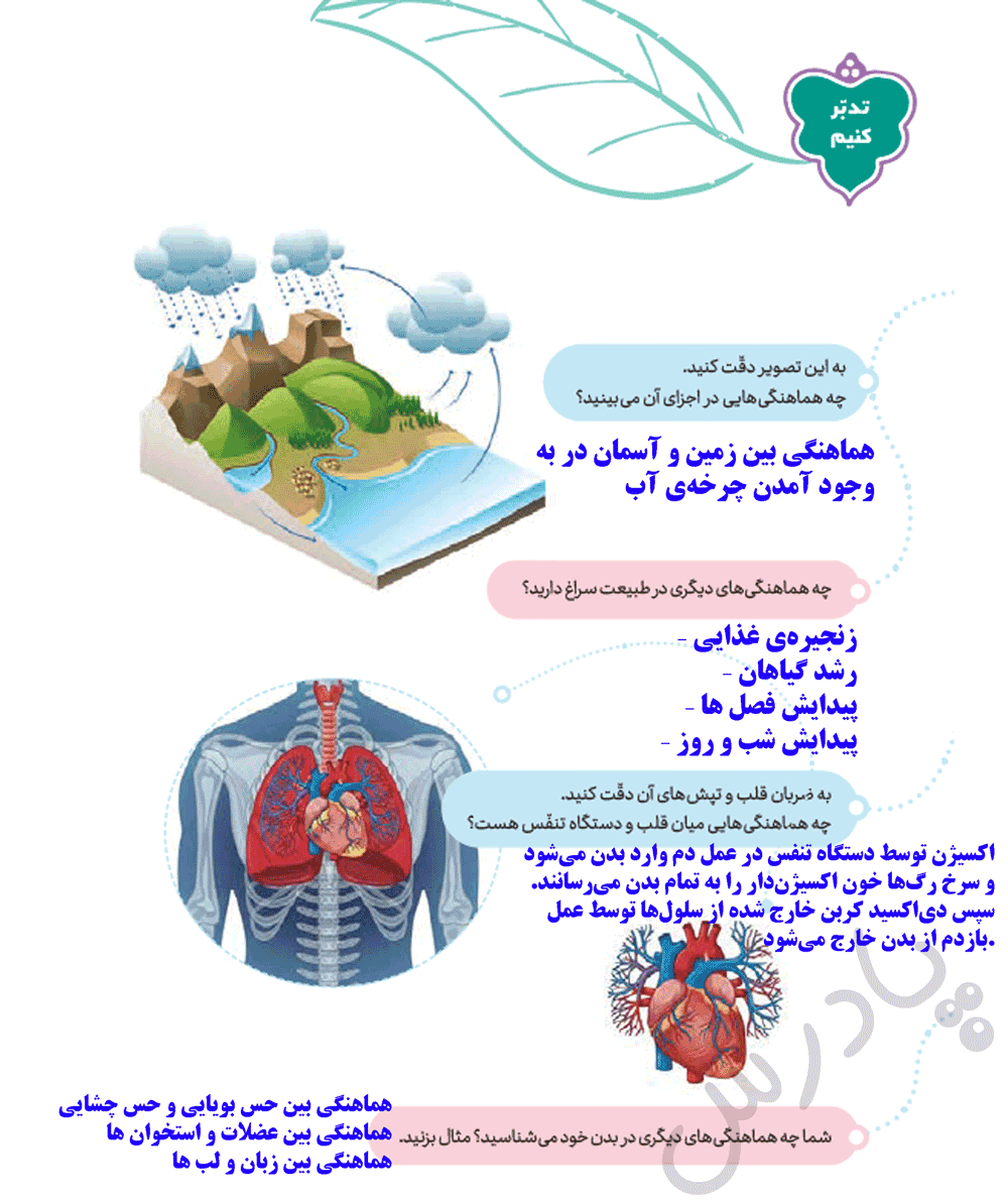 پاسخ تدبر کنید صفحه 18 هدیه های پنجم