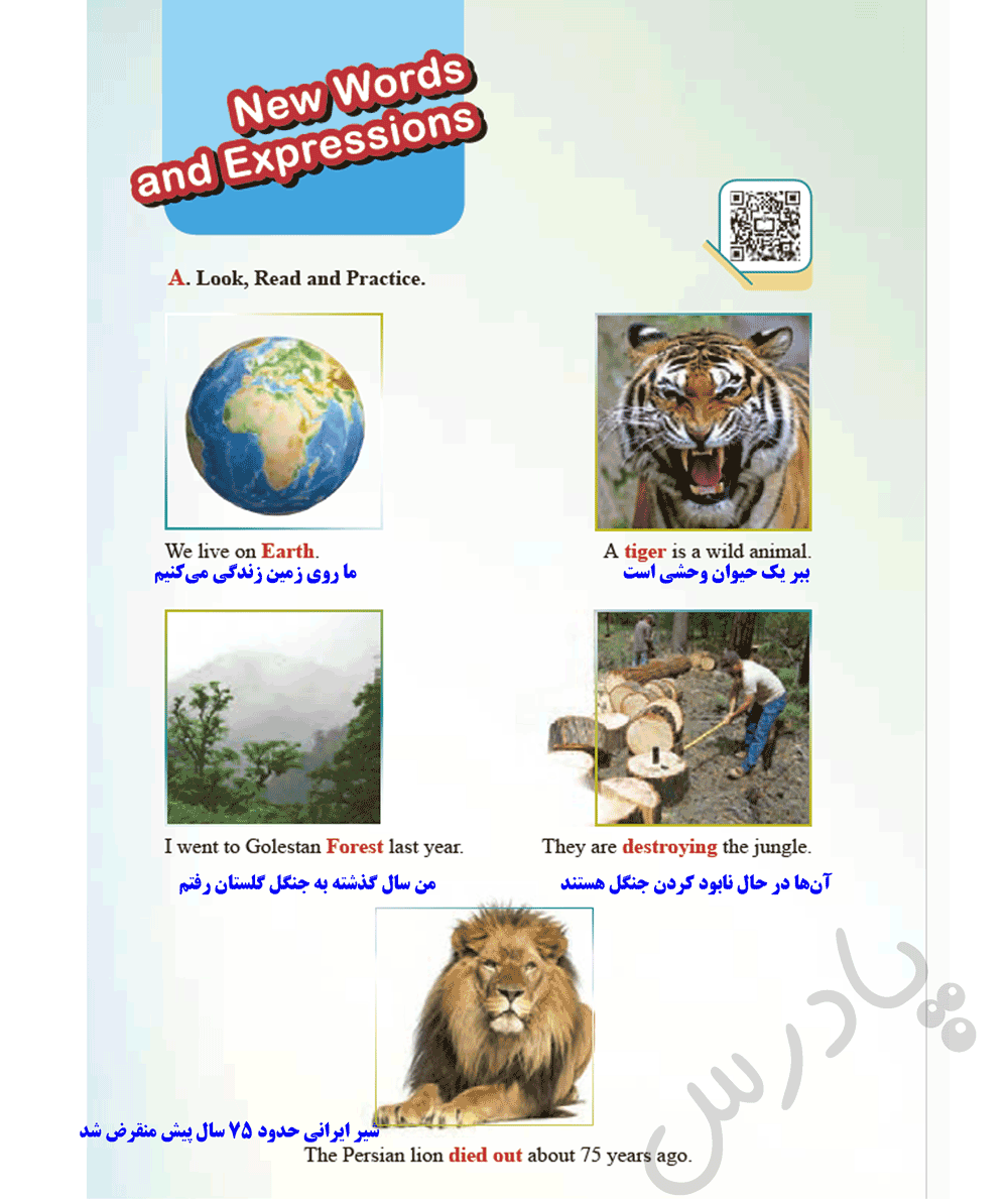 ترجمه صفحه 20 درس 1 زبان دهم