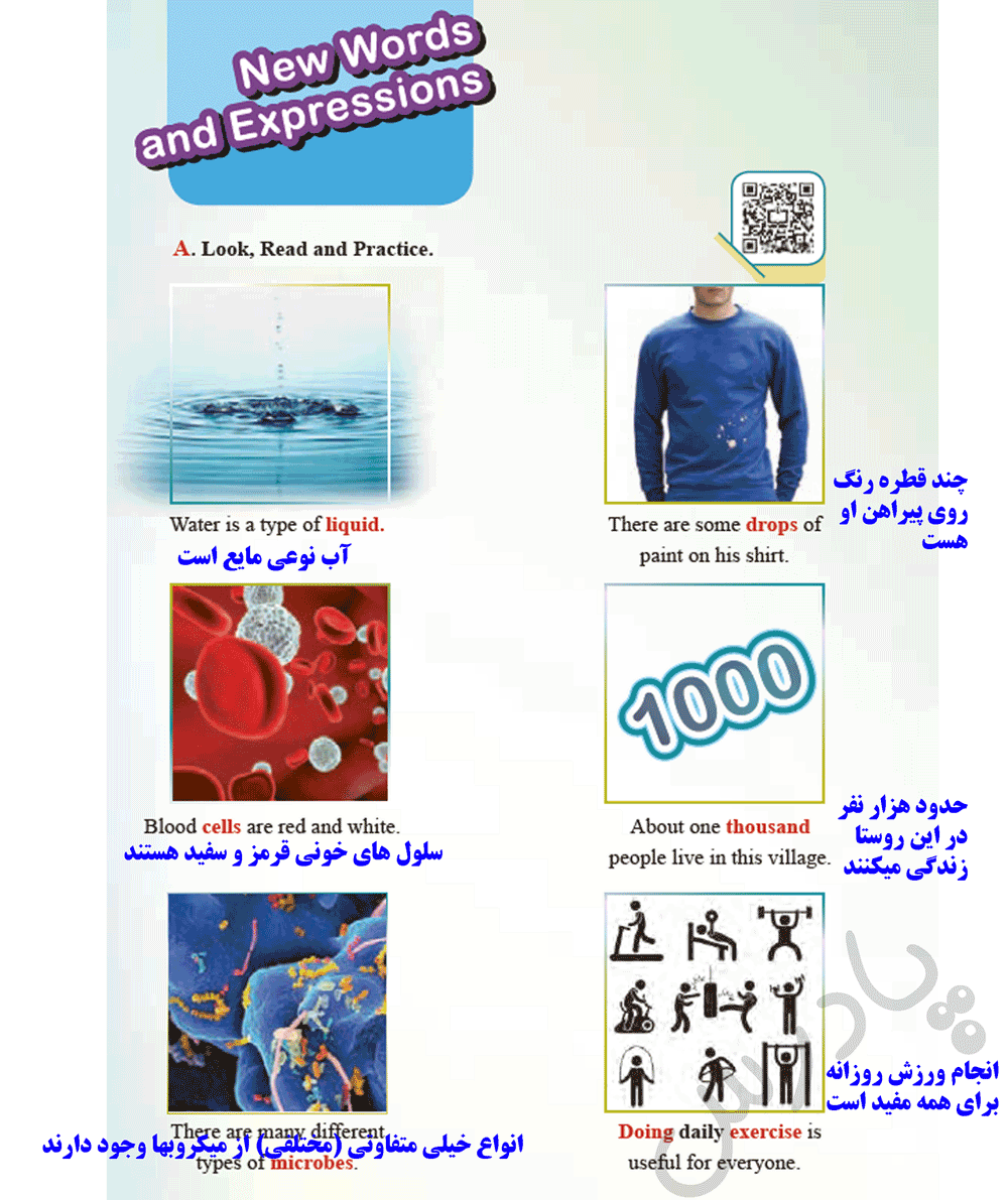ترجمه صفحه 48 درس 2 زبان دهم
